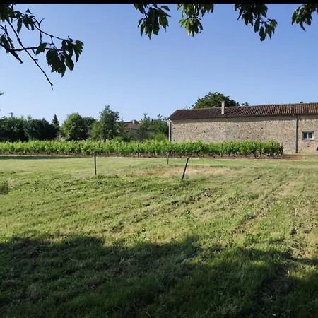 Taillis - Glamping On A Vineyard - Wooden