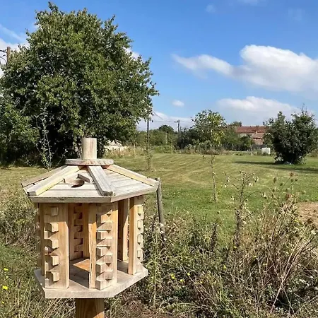 Taillis - Glamping On A Vineyard - Wooden *