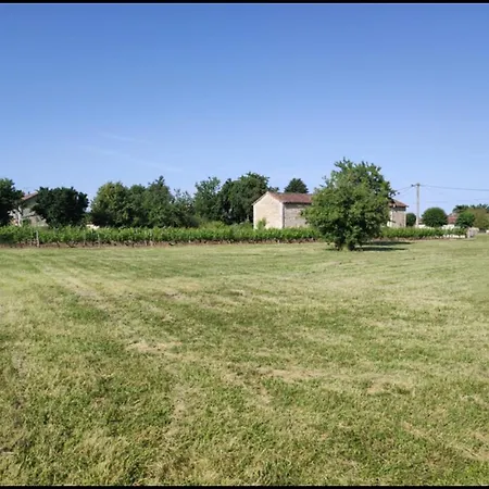 Taillis - Glamping On A Vineyard - Wooden *