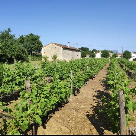 Campsite Glamping On A Vineyard - Wooden - Taillis *