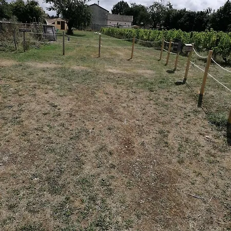 Camping Taillis - Glamping On A Vineyard - Wooden *